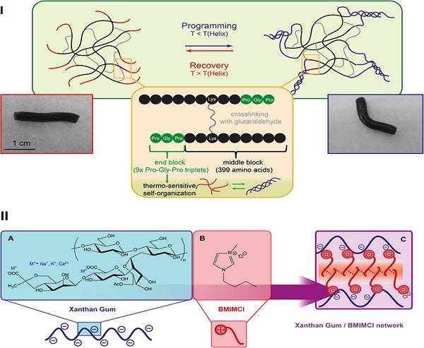 Monils - 默尼離子液體